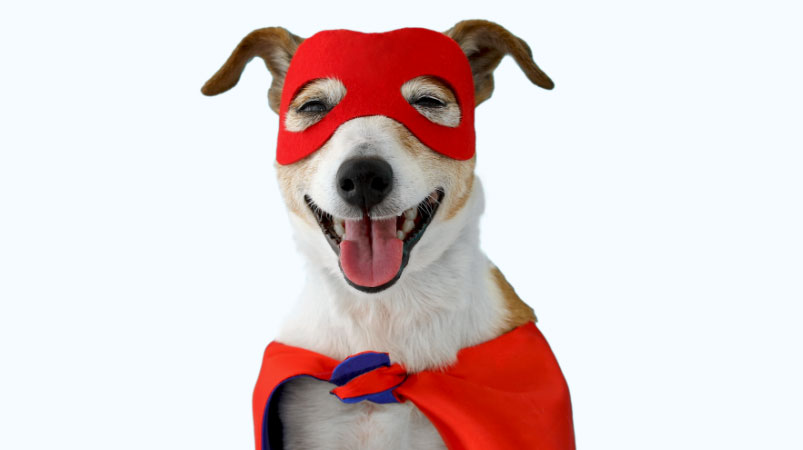 super dog